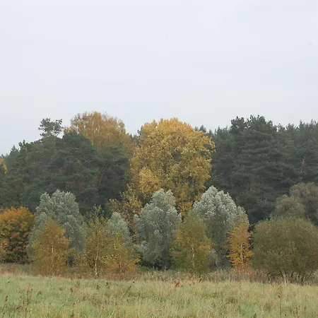 Apartmán Na Przypiecku Piecki (Warmian-Masurian)